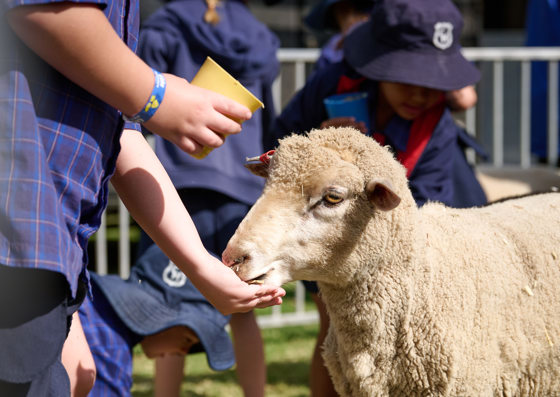 Ruraldiscoveryday 257