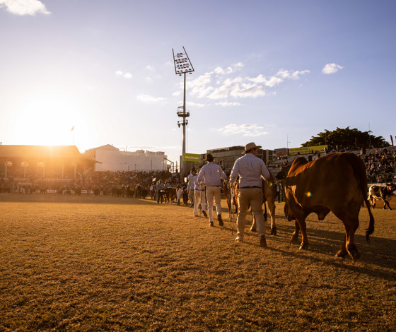 Ekka 2022 679 6066