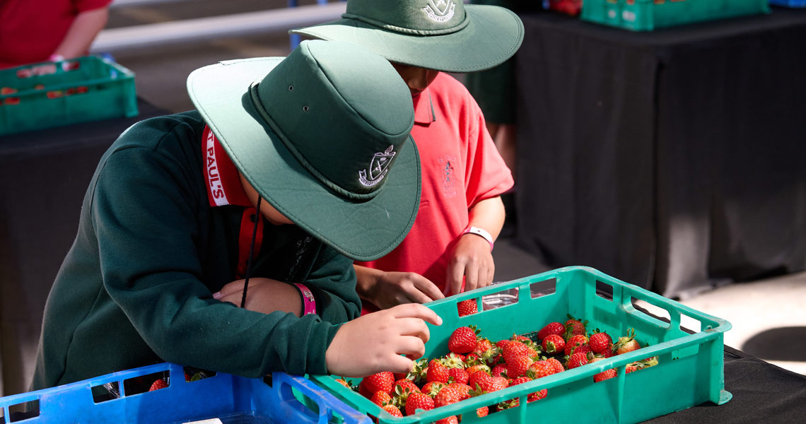 Ruraldiscoveryday 138