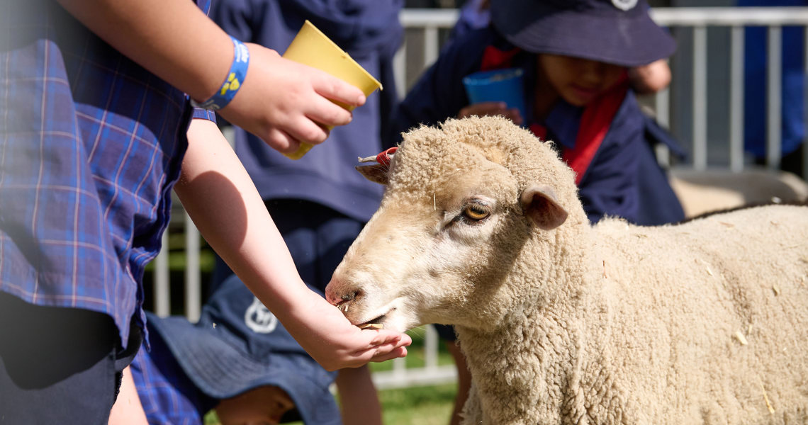 Ruraldiscoveryday 257